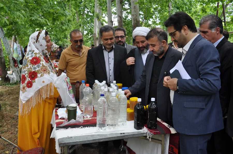 ۹۰ درصد مراتع مازندران ییلاقی هستند